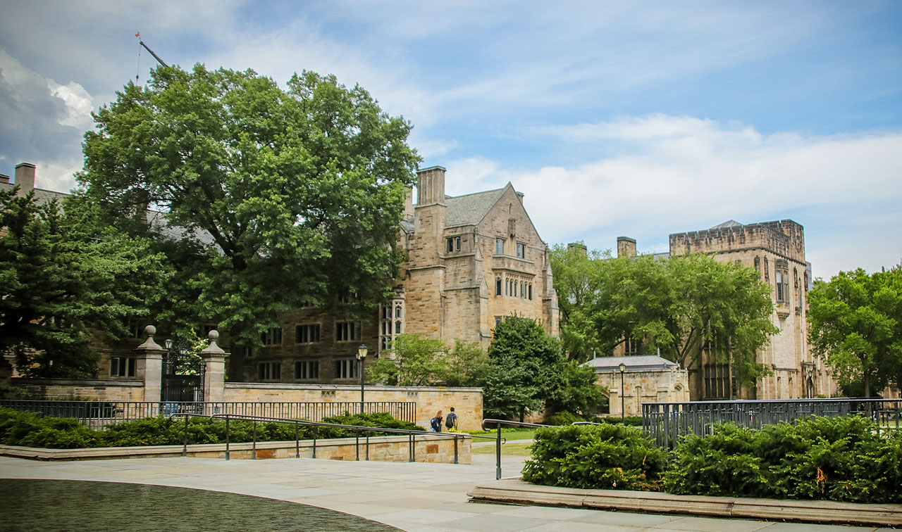 Summer School at Yale Large